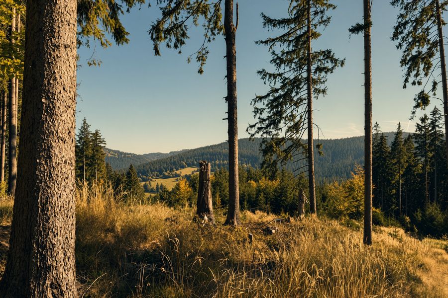 Mountain clearing with a view of the Beskydy ridges