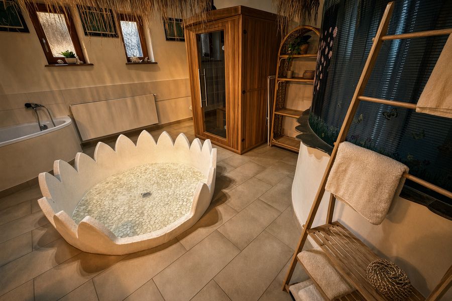 Infrared sauna and a shower with a flower-shaped tray